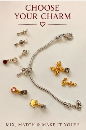 A promotional graphic for jewelry charms showing a silver snake chain bracelet with several dangling charm options in silver and gold, including key, heart, and animal motifs, on a light beige background with the text 'CHOOSE YOUR CHARM' and 'MIX, MATCH & MAKE IT YOURS'.