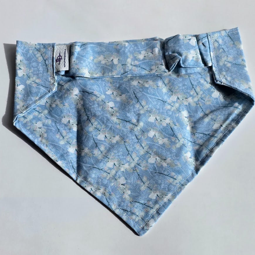 A light blue bandana-style pet collar with a white cherry blossom pattern, laid flat on a light gray background.